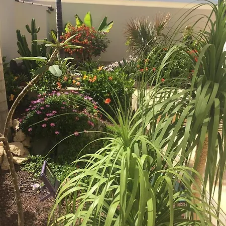 شقة Juliana أذيخي